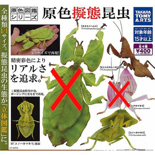 原色図鑑シリーズ 原色擬態昆虫 2種セット : セレンショップ - 通販
