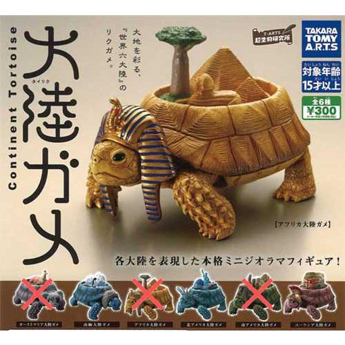 大陸ガメ タイリクガメ 3種セット : セレンショップ - 通販 - Yahoo