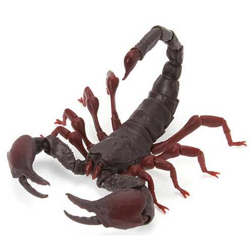 いきもの大図鑑 サソリ【レッドクロウエンペラースコーピオン小】単品