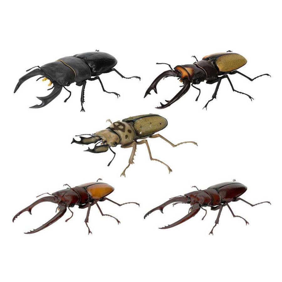 オウゴンオニクワガタ　2009 第5弾　ハイパーレア　ARS10 PSA10相当 オウゴンオニクワガタ 2009 第5弾 ハイパーレア ARS10 PSA10相当