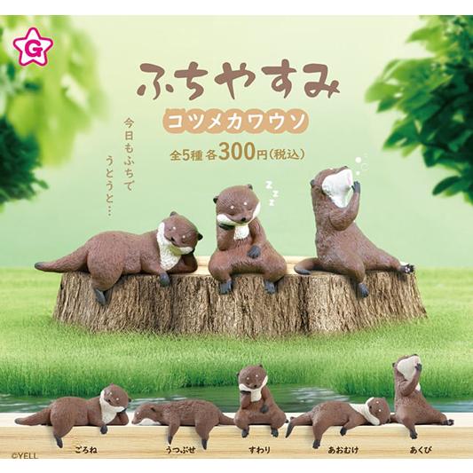 こつめかわうそ さん専用9点セット ふちやすみコツメカワウソ 全5種セット : セレンショップ - 通販
