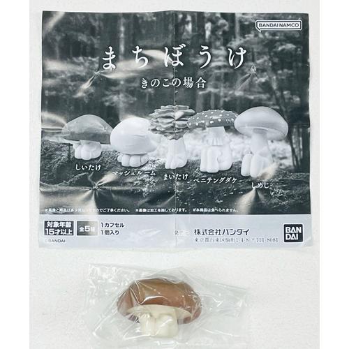 まちぼうけ きのこの場合【しいたけ】単品 : セレンショップ - 通販