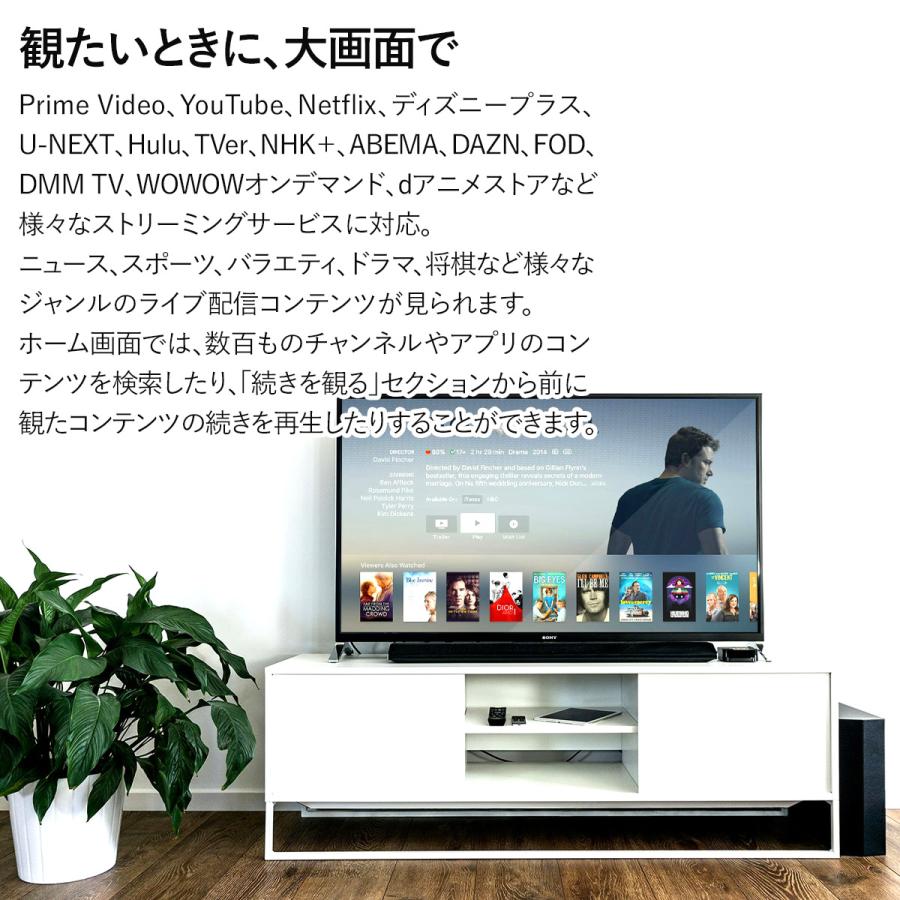 新品 正規品】Fire TV Stick HD 2024年発売 ストリーミングメディア