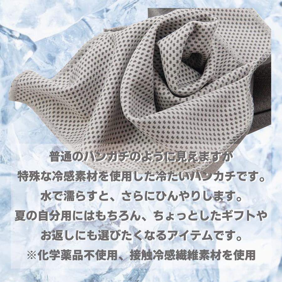 冷感ハンカチ 10枚セット 接触冷感 クールタオル 23×23cm 速乾 冷却