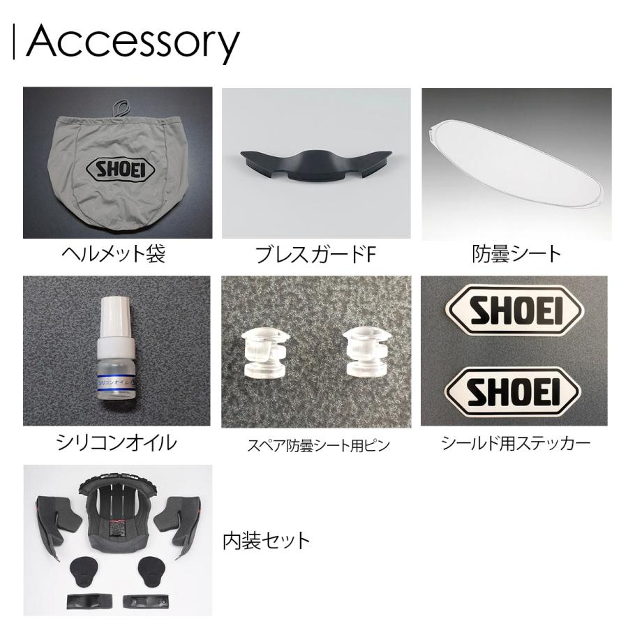 カラーリング剤 セット SHOEI フルフェイスヘルメット WYVERN （ ワイバーン ゼロ ） shoei