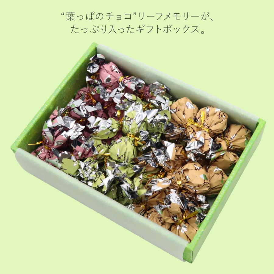 モンロワール リーフメモリー ギフトボックス 40個入り チョコ 個包装