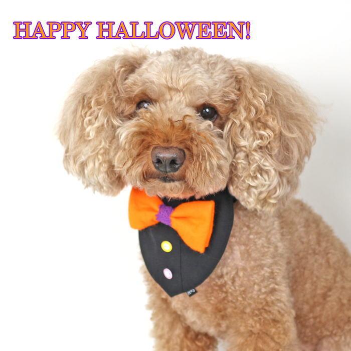 犬 服 コスプレ ハロウィン バンダナ 蝶ネクタイ 黒シャツ