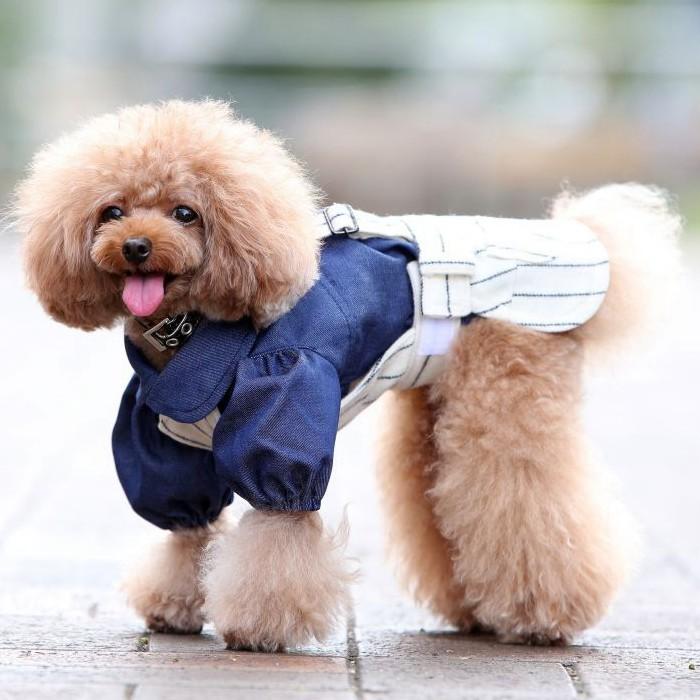 犬 服 秋 冬 フラノストライプサロペットスカート サスペンダー付き 