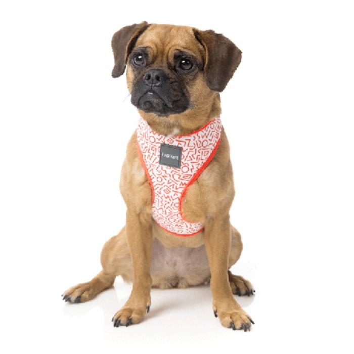 カピバラ　plce風ハーネス T213-L-m-01-pl.jpg