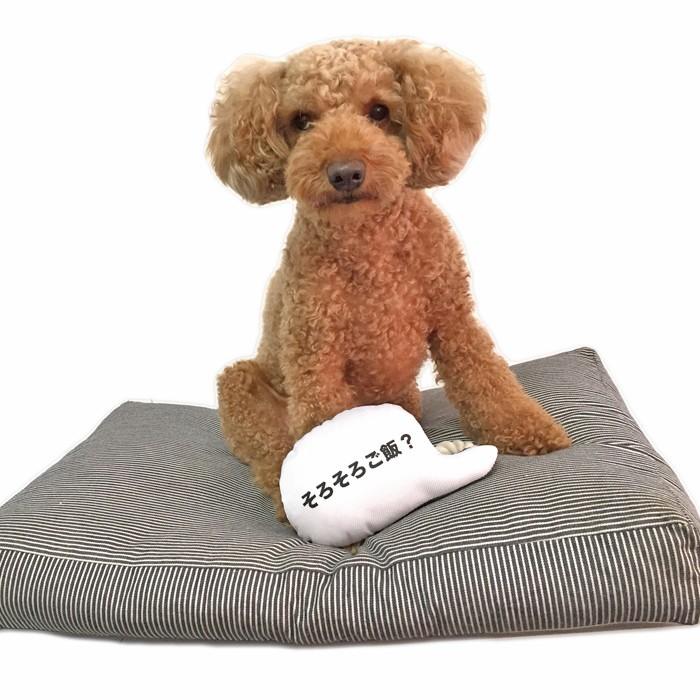 MANDARINE BROTHERS 犬 おもちゃ メッセージトイ2 ロープ MANDARINE BROTHERS 犬 おもちゃ メッセージトイ2 ロープ