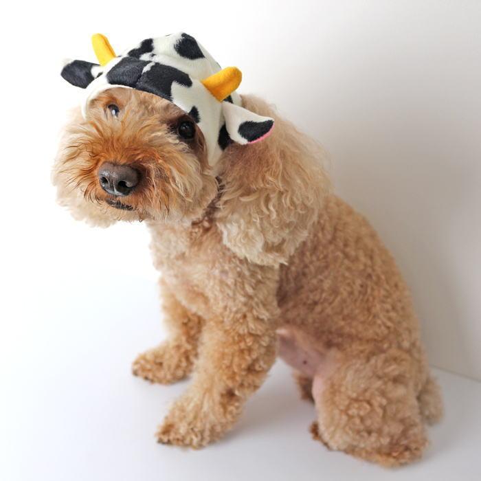 牛の帽子 ファーver 犬 猫 干支 年 ウシ 丑年 うし かぶりもの 年賀状 コスプレ お正月 被り物 ペット ハンドメイド 受注制作 S O Et 犬の服 Selfish House 通販 Yahoo ショッピング