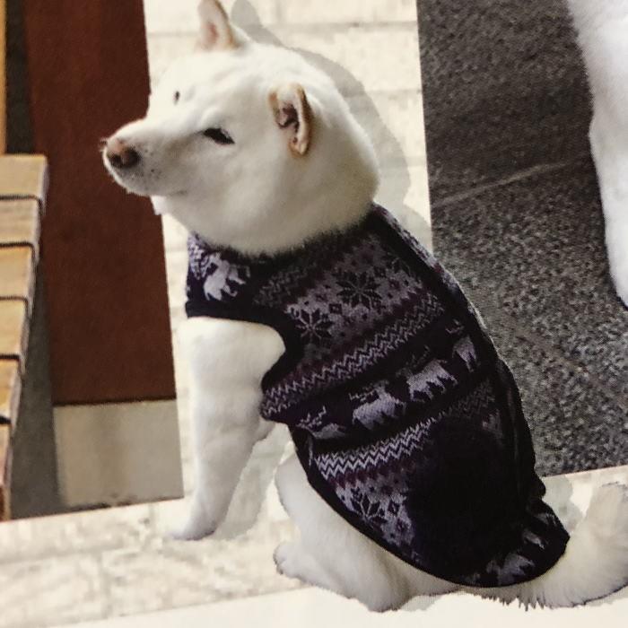 犬 服 秋冬 背中開き ノルディック風ジャンパー フリース ボア あったか ドッグウェア アウター 冬服 Pq S Pq 7523 犬の服 Selfish House 通販 Yahoo ショッピング