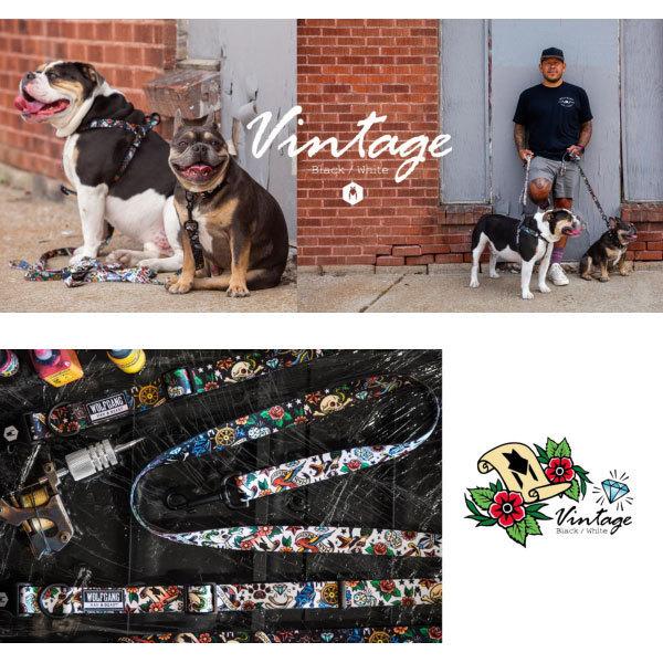 【新品未使用】wolfgang首輪Mとリード183cmのセット WOLFGANG/ウルフギャング 犬用 リード FeatheredFriend Leash M