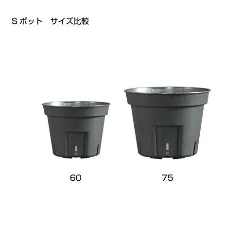 日本ポリ鉢販売(Japan　Porihachi　Hanbai)　白　Sポット丸型60　NI-101　3000入　ポリ鉢