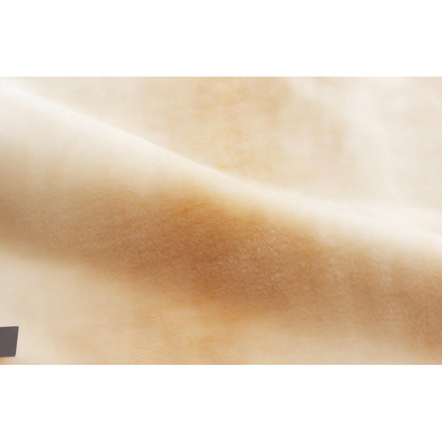 Sugiyama 電気しき毛布 ロングサイズ 洗える毛布 ダニ退治機能 日本製 ベージュ NA-08SL(BE)｜selftraders-shopping｜02