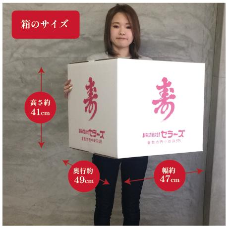 上棟式 寿セット 1万円分 上棟 棟上げ 棟上げ式 建前 建舞 まき菓子 お祝い 業務 贈答 お菓子 つかみ取り イベント_2
