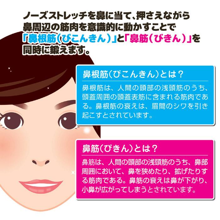 ノーズストレッチ Sv 5356 鼻根筋 小鼻 鼻筋 眉間 しわ ストレッチ ノーモーション筋トレ セルレットのゴトウ 通販 Yahoo ショッピング