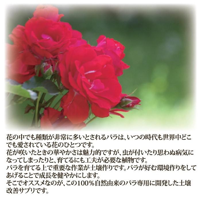 ガーデニング バラ元気サプリ バラ 薔薇 ガーデン 肥料 園芸 土壌改良 有機 上田微生物 日本製 セルレットのゴトウ 通販 Yahoo ショッピング