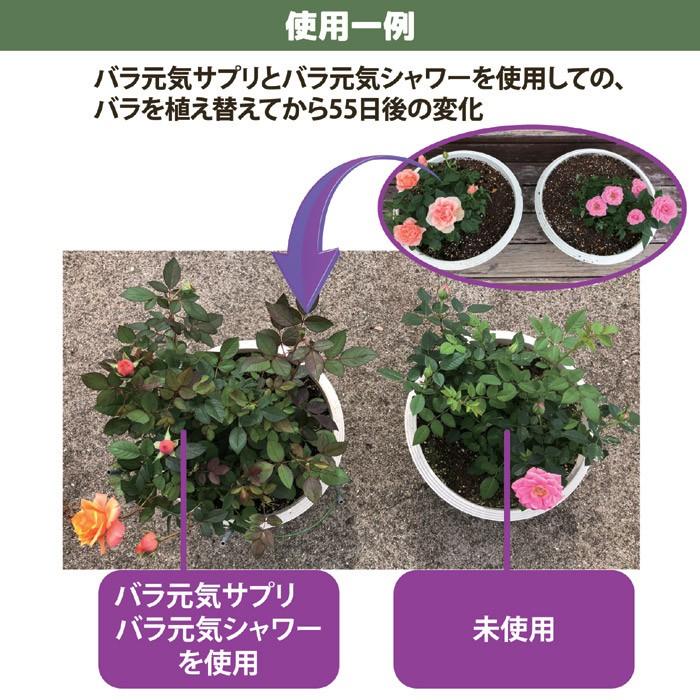 ガーデニング バラ元気サプリ バラ 薔薇 ガーデン 肥料 園芸 土壌改良 有機 上田微生物 日本製 セルレットのゴトウ 通販 Yahoo ショッピング