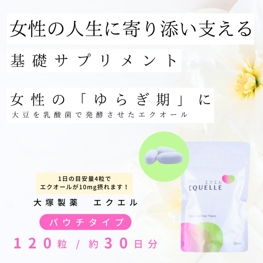 大塚製薬 エクエル パウチ 120粒 30日分 正規品 5袋セット 3営業 大塚製薬 エクエル パウチ 120粒 30日分 正規品 5袋セット 3営業