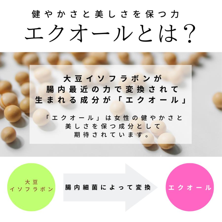 エクオール　正規品　新品未開封　5袋セット 大塚製薬 エクエル パウチ 120粒 30日分 正規品 5袋セット 3営業