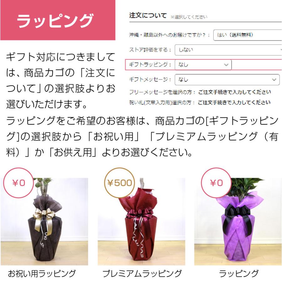フェイクグリーン 大型 約140cm 人工観葉植物 光触媒加工 造花 ベイリーフトピアリー 鉢付き 消臭 抗菌 インテリアグリーン 送料無料 ※ご注文後7日前後発送の画像