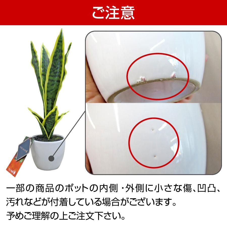 フェイクグリーン 小型 約35cm 人工観葉植物 光触媒加工 造花 サンスベリア 消臭 抗菌 インテリアグリーン 送料無料