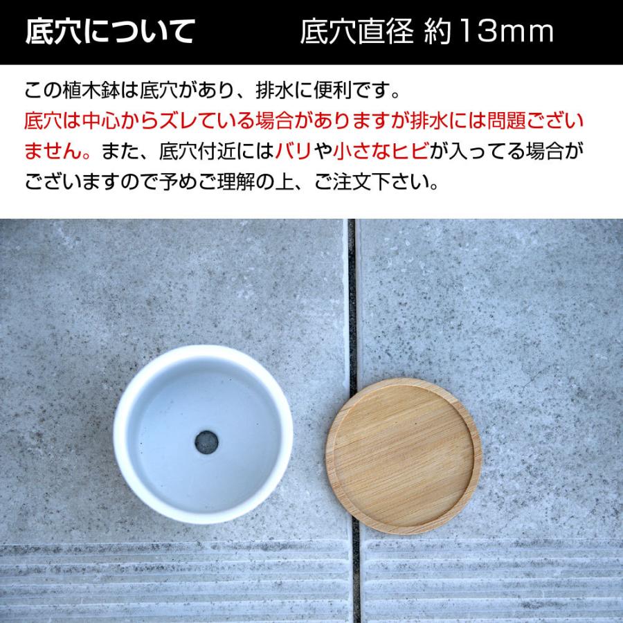 多肉植物鉢 ORTH オース BIGサイズ 直径約104mm 竹製受け皿付 多肉