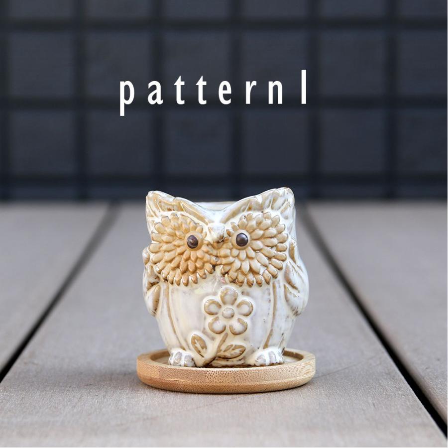 多肉植物鉢 OWL white オウルホワイト 6点セット フクロウポット 竹製