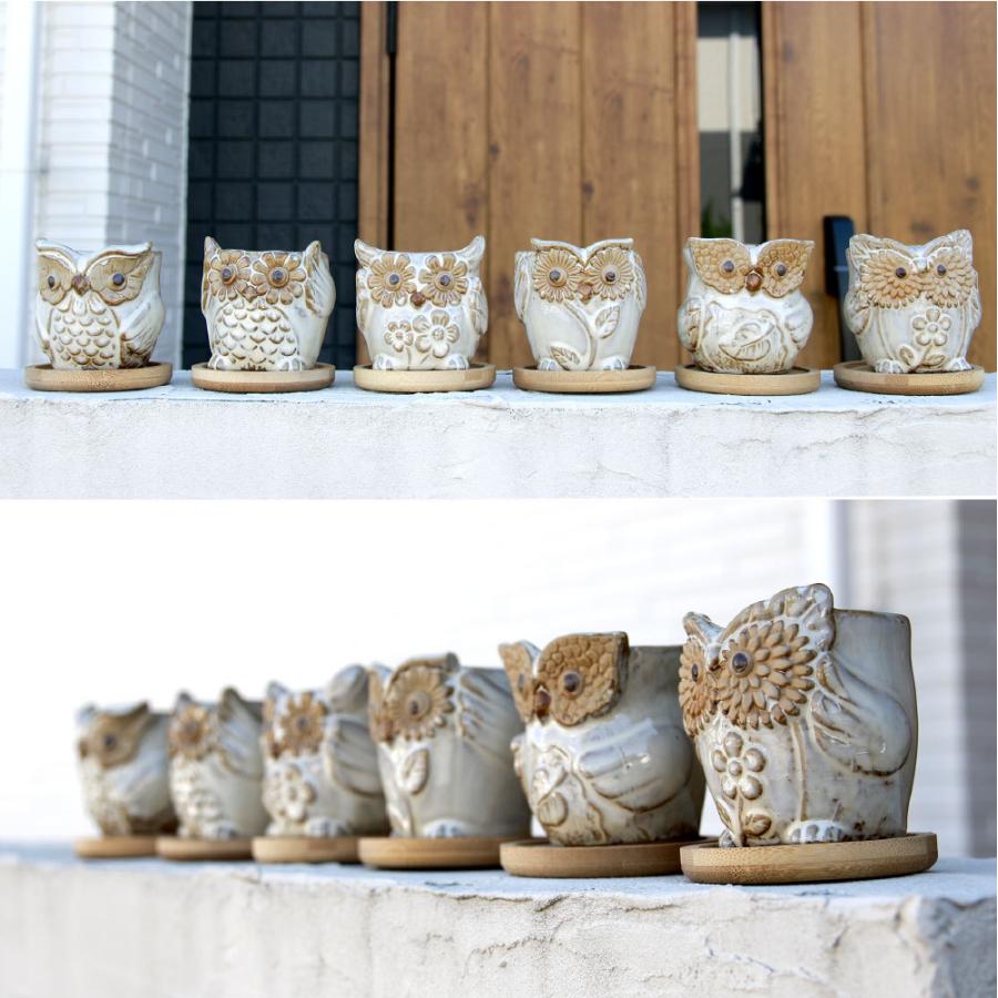 多肉植物鉢 OWL white オウルホワイト 6点セット フクロウポット 多肉植物鉢 OWL white オウルホワイト 6点セット フクロウポット