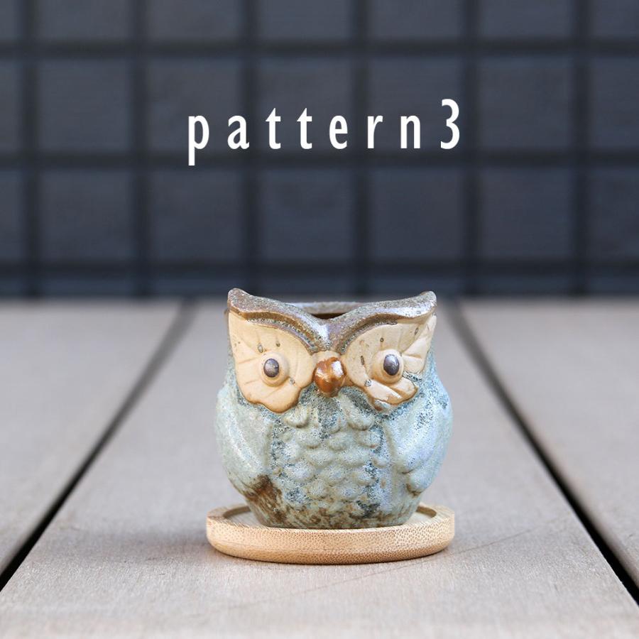 多肉植物鉢 OWL blue オウルブルー 6点セット フクロウポット 竹製受け
