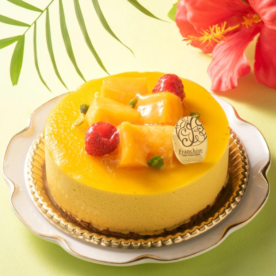 誕生日 デコレーションケーキ アントルメ 送料無料【フランボワーズ