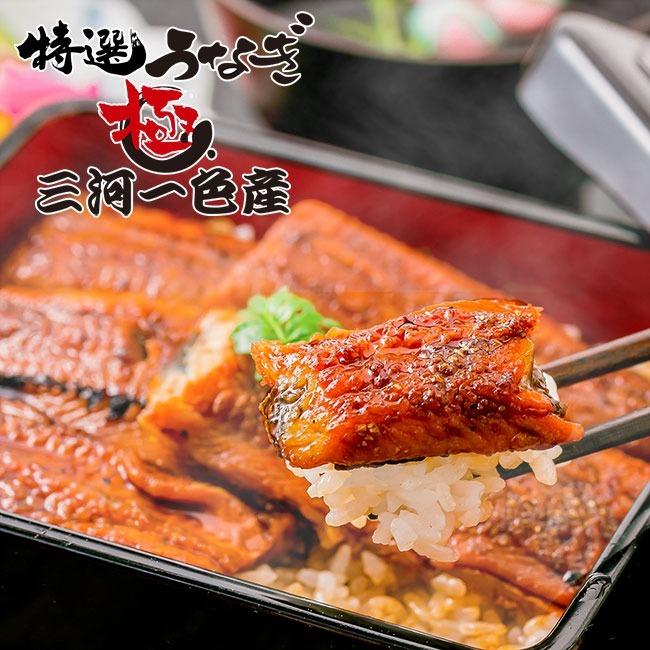 国産 特選うなぎ蒲焼セット 極 390g 三河一色産（80g×3、きざみ