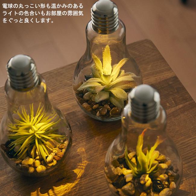 電球型インテリアライト Terrarium テラリウム 選べる3種類 テーブルライト 照明 間接照明 卓上 インテリア ライト 電球 観葉植物 グリーン おしゃれ かわいい 072 1001 Se マガザン 通販 Yahoo ショッピング