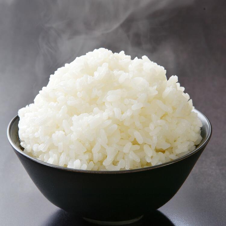 ウーケ パック ご飯 特盛 お茶碗二杯分のごはん 300g×24個入 国産米 2