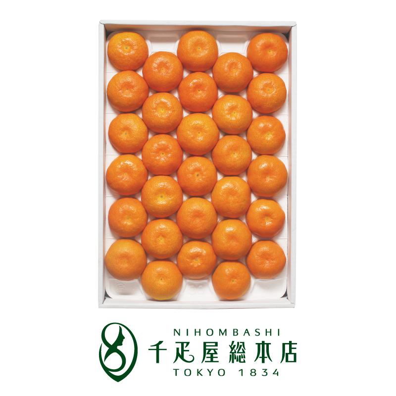 数量限定 ハウスみかん詰合 小玉 千疋屋総本店10,800円 数量限定 ハウスみかん詰合 小玉 千疋屋総本店10,800円