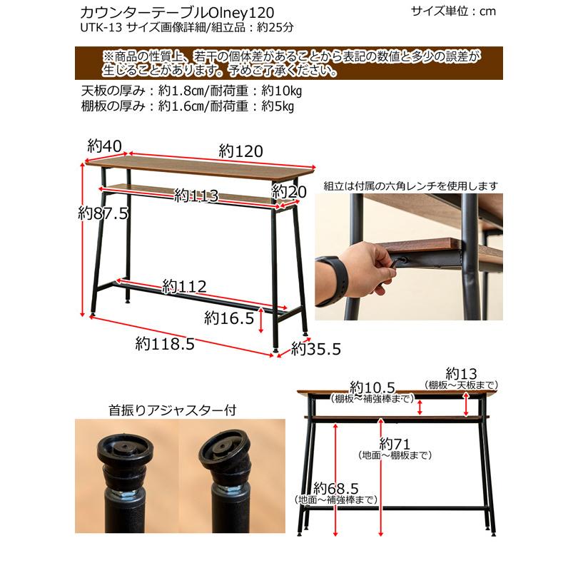 サカベ カウンターテーブル バーテーブル ハイテーブル 120幅 Olney