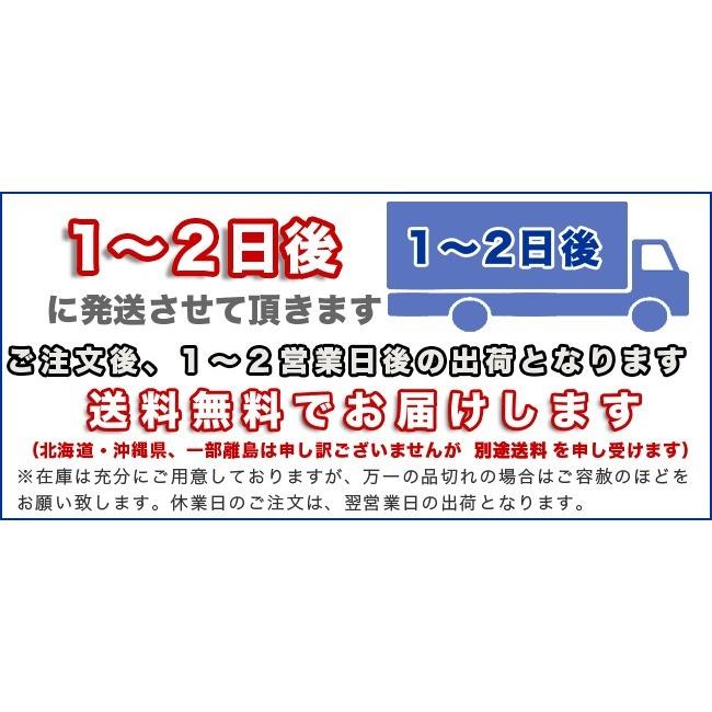 【送料無料】ＯＰＰ透明パック１４０×２６０ミリ厚さ４０ミクロン１０００枚｜sempre-m｜05