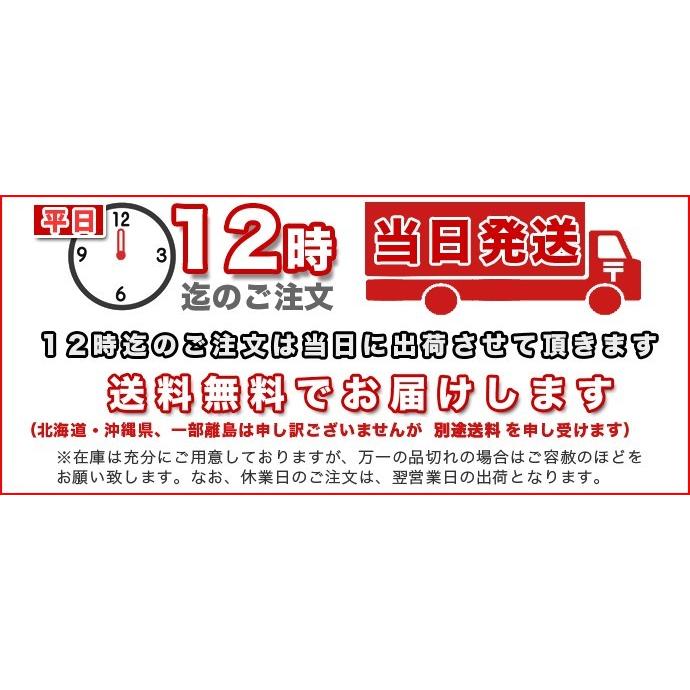 送料無料】脱酸素剤対応透明カマス貼ガス袋Z11無地大130×160ミリ