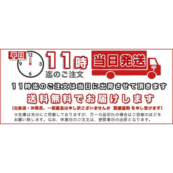 送料無料】脱酸素剤対応透明カマス貼ガス袋Z13無地小100×120