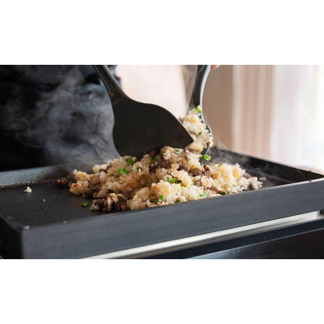 バルミューダ ザ・プレート プロ グリドル&カバー BALMUDA The plate