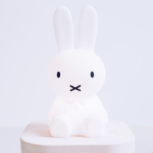 ファーストライト ミッフィー First Light miffy and friends MIFFY Mr