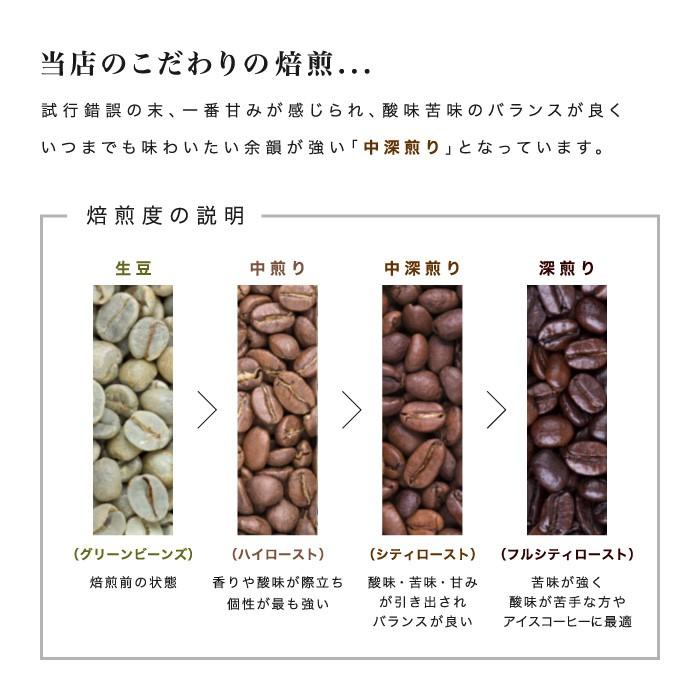 コーヒー 幻のコーヒー コピ・ルアック コピルアク 50g 豆 中深