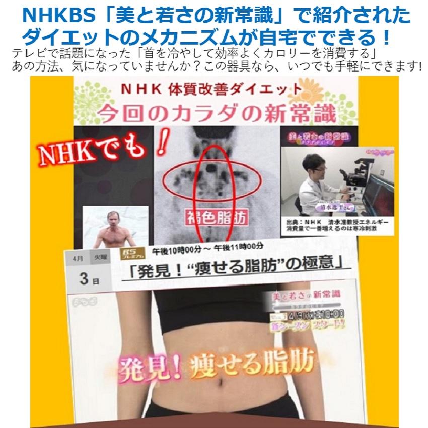 転売 痩せる細胞がサポートするダイエット器具 背中クールタイ 15本セット袋付き お得なセット 痩せる褐色脂肪細胞と重なり ダイエット 熱を放出して