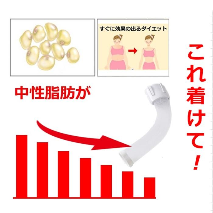 背中刺激 交感神経 痩せる仕組 褐色脂肪細胞 お腹まわりプヨプヨ脂肪 中性脂肪落とすダイエット器具 背中クールタイ 即効果 基礎代謝量増える 雑貨 オリジナル品 | 