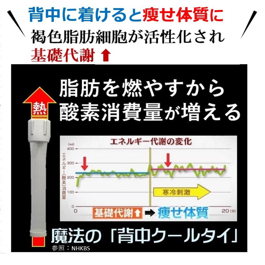 褐色脂肪細胞 寒冷刺激 活性化 【着けるだけ背中痩せ！】シェイプアップ 基礎代謝アップ メタボ対策 お腹周り 40代 50代 ながらダイエット器具 背中クールタイ |  | 15