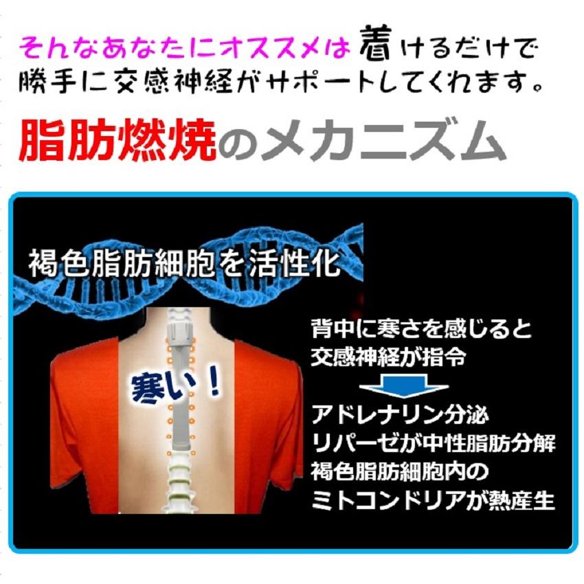 褐色脂肪細胞 寒冷刺激 活性化 【着けるだけ背中痩せ！】シェイプアップ 基礎代謝アップ メタボ対策 お腹周り 40代 50代 ながらダイエット器具 背中クールタイ |  | 06