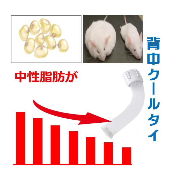 背中刺激 交感神経 痩せる仕組 褐色脂肪細胞 お腹まわりプヨプヨ脂肪 中性脂肪落とすダイエット器具 背中クールタイ 即効果 基礎代謝量増える 雑貨 オリジナル品 |  | 20