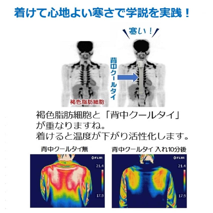 NHKBS体質改善ダイエットが自宅で【着けるだけ背中痩せ！】基礎代謝アップする ながらダイエット器具 背中クールタイ 即効果 お腹周り 一年中使える 熱中症対策 |  | 07
