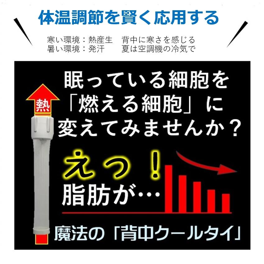 NHKBS体質改善ダイエットが自宅で【着けるだけ背中痩せ！】基礎代謝アップする ながらダイエット器具 背中クールタイ 即効果 お腹周り 一年中使える 熱中症対策 |  | 13